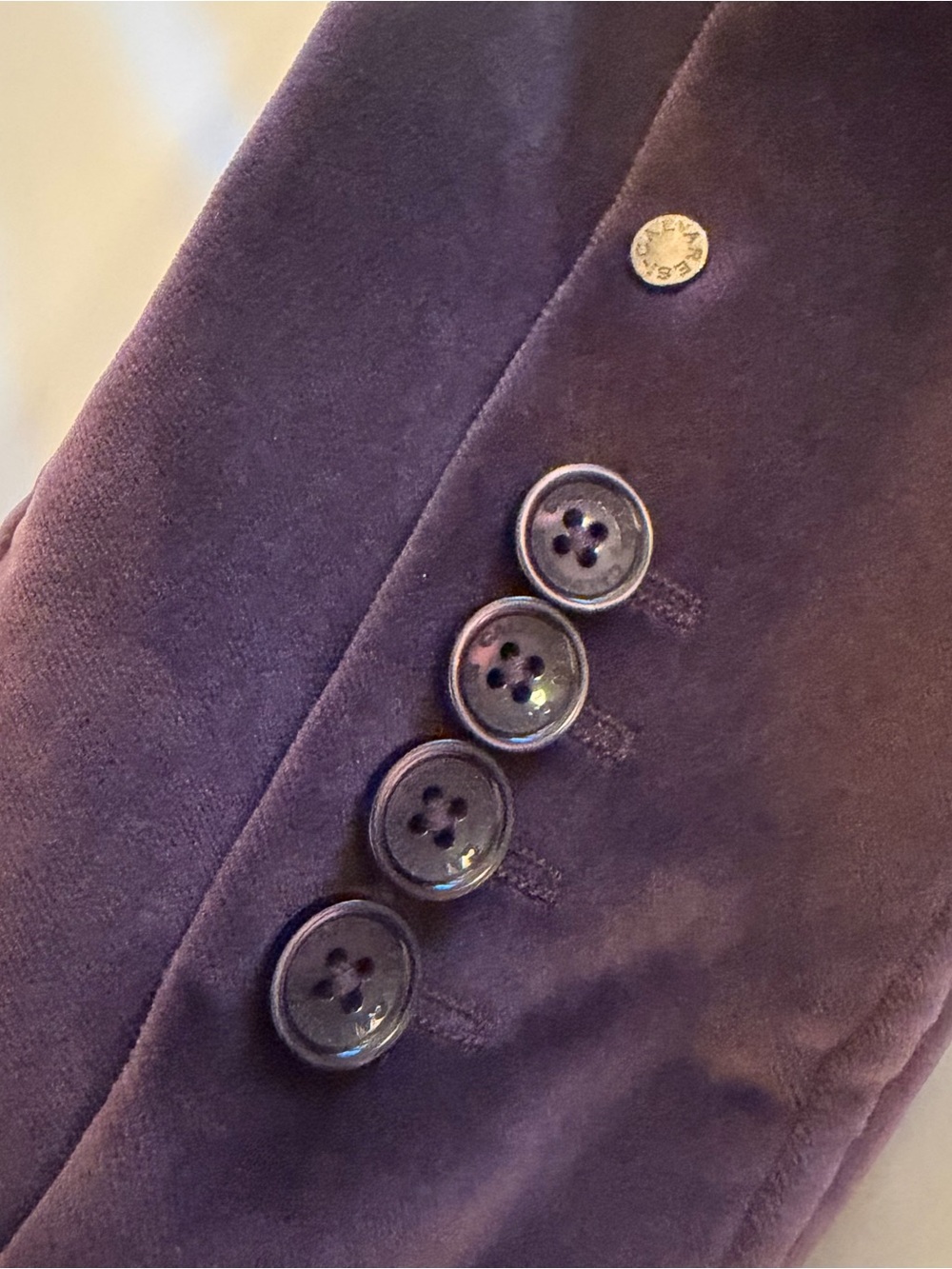 Calvaresi Women's Velvet Blazer Jacket in Plum - Picture 11 of 13